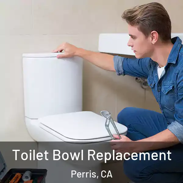  Toilet Bowl Replacement Perris, CA